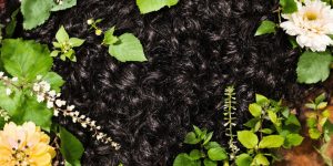 Healthy hair surrounded by green leaves and flowers.